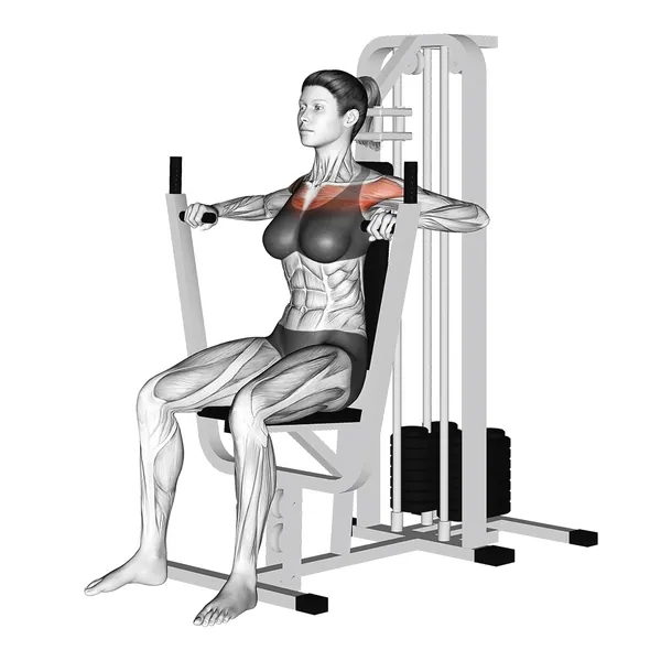 Exercise animation chest press machine - full range of motion