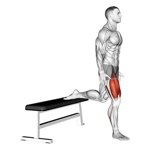 Übungsanimation Bulgarian Split Squat