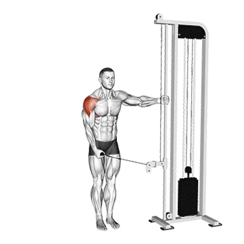 Exercise animation Cable Lateral Raise