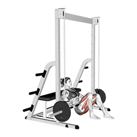 Übungsanimation Hip Thrust