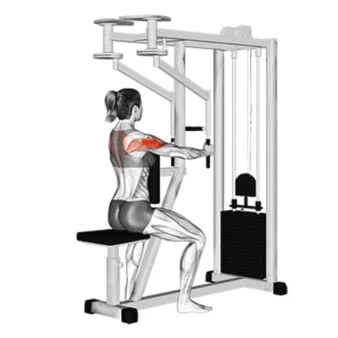 Exercise animation Reverse Fly