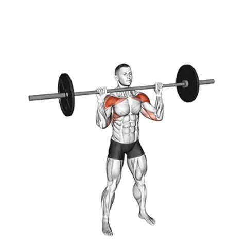 Exercise animation Overhead Press