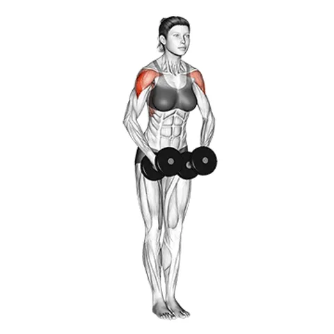 Exercise animation Lateral Raise