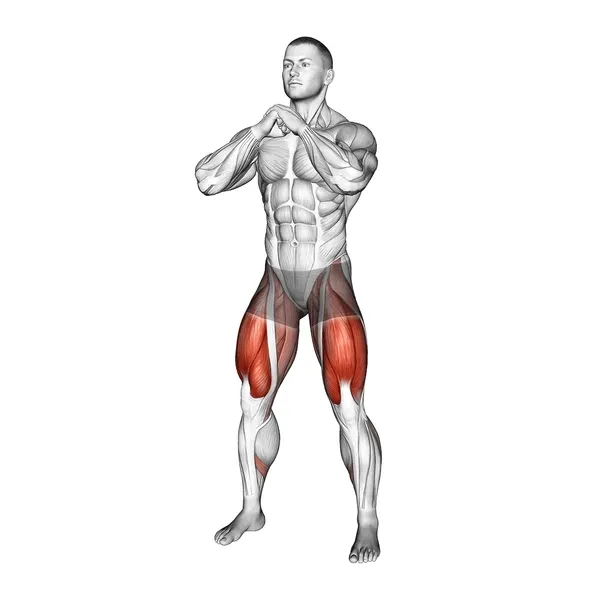 Exercise animation goblet squat - full range of motion